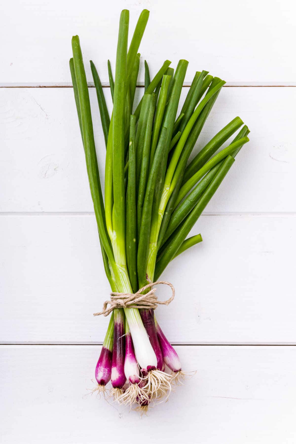 How one can Retailer Spring Onions to Hold Brisker for Longer