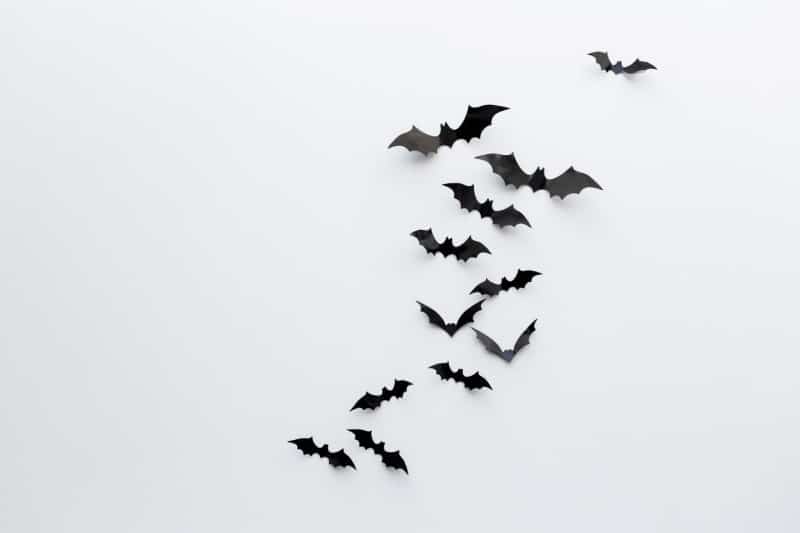 Eco-Nice Halloween Ideas For A Spooktacular Time